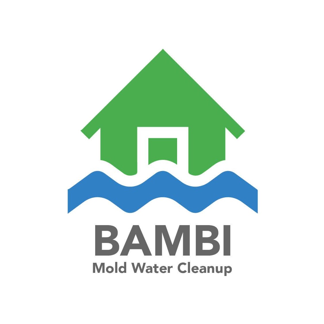 Bambi Mold Water Cleanup